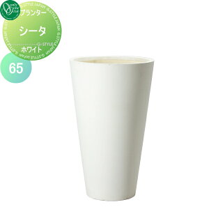 yTΏہz v^[ I[Nu t@Co[v^[ V[^ zCg 65 zwTΏۊOi A Ԓd  K[fjO I[ GNXe