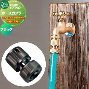 ֌ ⏕֌ I[Nu z[XJv[ ubN GM3-F-605 ֌ K[fjO ܂ O   I[ GNXeA