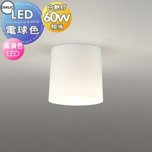 �Ɩ� ������� ���C�g �I�[�f���b�N ODELIC ���^�V�[�����O���C�g OL013006LR �|���J�[�{�l�[�g�i�����j ���M��60W����