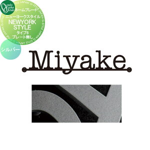 \D I[Nu j[[NX^C v[gȂ ^Cv6 Vo[ IP1-22-6-S ˌ I[_[ I[ GNXeA