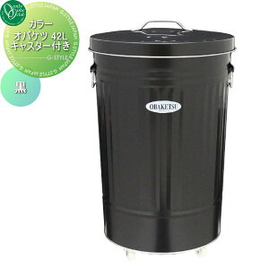 yTΏہz I[Nu J[IoPc 42L LX^[t@ WA3-CBK45 I[ GNXeA