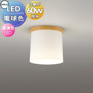 �Ɩ� ������� ���C�g �I�[�f���b�N ODELIC ���^�V�[�����O���C�g OL013007LR �i�`�������F ���M��60W����