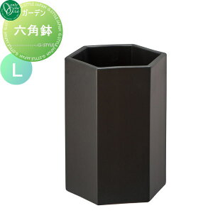yTtz v^[ I[Nu Zp }bg L HEXAGON POT A Ԓd  K[fjO I[ GNXeA
