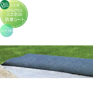 yTΏہz lH I[Nu AOXlHSG@hV[gZbgi1m×10mj GM2-RGB31 {hF萻i I[ GNXeA