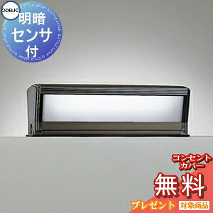 エクステリア 屋外 照明 ライト オーデリックODELIC ポーチライト OG554458R FL10W相当 防雨型 LED 門柱灯 門灯 ガーデンライト スクエア シンプルデザイン 明暗センサ 横長 LED 昼白色タイプ