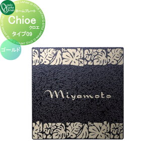 y10/25|CgUPz\D I[Nu Chloe NG S[h ^Cv09 HS1-CLGB-09 ˌ I[_[ I[ GNXeA