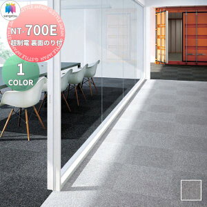 yTΏہz ^CJ[ybg CeA TQc NT-700H PLANK NT700H PLANK NT-700E d ʂ̂t 10Zbg 50cm×50cm u ƒp plJ[ybg tH[ Zt DIY  