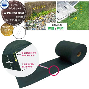 yTΏہz hV[gsZbg ibNX vxgV[g (p) W19cm×L30M Œs U^150 (50{) vi p G΍ h΍  