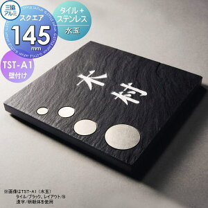 \D OA~ OR ^C+XeX TST-A1() 145p^Cv ` \DV~[VΉ TST-A1 ˌ I[_[