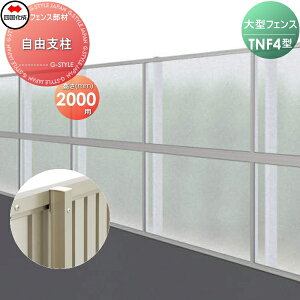 y|CgUPzyiz h^tFX l VRN TNF 4^p Rx H2000 71FP-20 K[f DIY   ͂ E O lsEkCEEzs