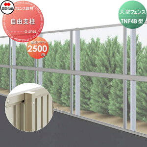 yiz h^tFX l VRN TNF 4B^p Rx H2500 71FP-25 K[f DIY   ͂ E O lsEkCEEzs