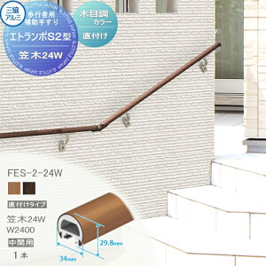 yiz sҗp⏕肷 OA~ Gg|S2^ t^Cv GXg}[(ؒ)J[ }؁@24W ԗpW2400 1{ FES-2-24W 萠  Op oAt[   O