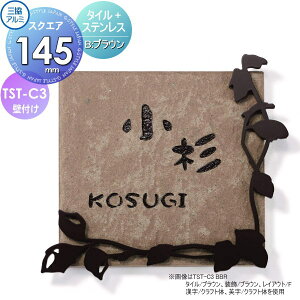 y|CgUPz\D OA~ OR ^C+XeX TST-C3 B ^C uE 145p^Cv ` \DV~[VΉ TST-C3 ˌ I[_[