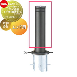 yTΏہz Ԏ~ T|[ t^[{[h 165 Z~bNh 170Z~bN`^ Cp p{̂̂ JMʓr LV-366KC-E Ԍɂ܂ ԏ K[W Ԏ~ J[X