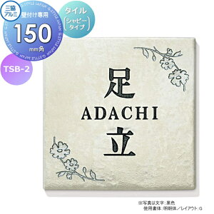 y|CgUPz\D OA~ OR ^CiVr[^Cvj TSB-2 150p^Cv ` \DV~[VΉ TSB-2 ˌ I[_[