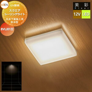 �y���������T�Ώہz LIXIL ���N�V�� 12V�Ɩ� ���� �X�N�G�A �V�[�����O ���C�g SCL-G1�^ LED 8VLJ01ZZ �G�N�X�e���A ���O �Ɩ� ���C�g �K�[�f���G�N�X�e���A[��܂��] �G�N�X�e���A���C�g