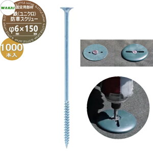 �y���i�z �h���V�[�g�Œ�p���� �h���X�N�����[ �S(���j�N��)(L150) �l�p�r�b�g�t���P�[�X�̔� ��6mm×150mm 1000�{����(1�P�[�X) BSS615U (67449 9) ���J�C�Y�� WAKAI ���Y�� �V�[�g�̌Œ�ő��l�Ɏg��