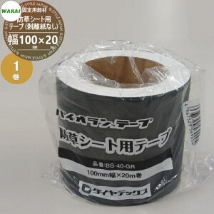 yiz hV[gŒp hV[gpe[v Ȃ () 100mm×20m 1 BS-40GR (4967529569004) JCY WAKAI Y V[ǧŒőlɎg hEAEH@ʁElH