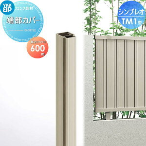 yiz tFX YKK YKKap VvItFXTM1^p [Jo[ 2{ H600 6F^ E O A~ `ރtFXK[f DIY   ͂