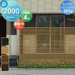 yTΏہz XN[tFX ډB YKK YKKap VAX XN[tFX S01^ {+Zbg ApZbg ؖڒJ[ T200J `ރtFXK[f DIY   ͂ E O