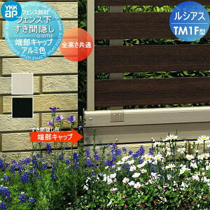 yiz tFX YKK YKKap VAXtFXTM1F^p tFXԉBp[Lbv(21g) S F01^ E O A~ `ރtFXK[f DIY   ͂