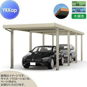 yGA̔z J[|[g 2p YKK YKKap W[|[g Pro 4500^Cv si2jA8{ J55E55-36 H25 ނȂ ؒF Ȃ MCGisi2jAj  Ԍ K[W  2