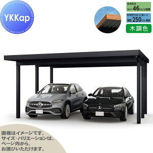 yGA̔z J[|[g 2p YKK YKKap W[|[g Pro 7500^Cv P̒6{ 55-55 H25 ނȂ ؒF Ȃ MCDiṔj  Ԍ K[W  2