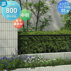 yiz tFX YKK YKKap VAXtFXLite 01^ Ԏdؒ 1^ T80 H800 }ؘAޕt E O A~ `ރtFXK[f DIY   ͂