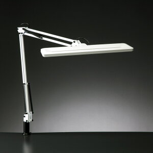 y10/25|CgUPzRcƖ LEDfXNCg Z-1000W zCg F F iK Nv^Cv M80W ZCg Z-Light [bgCg Z1000W