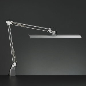 RcƖ LEDfXNCg Z-11RSL Vo[ F F iK Œ^Cv ZCg Z-Light [bgCg