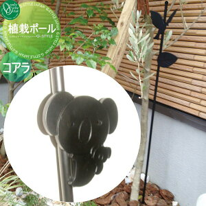 y|CgUPzyTΏہz K[fObY K[fjOc[ I[Nu A̓|[ |x RA K[fObY K[fjOc[ A |[ I[ 