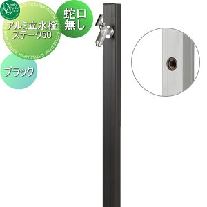 yTΏہz   I[Nu A~Xe[N50 ubN GM3-AL50B ֌ K[fjO ܂ O   I[ GNXeA