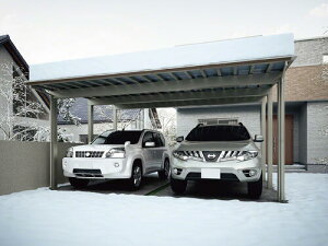 l 2p J[|[g X}[g|[gHG Ch ϐ100cm^Cv ԏꉮyō݁z