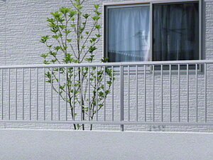 yލ/{݂̂̂zOA~ tFX X[p[ 1^yōz