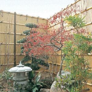 yލ/{̂̂݉z^JV[  tFX e-ou[jbg | m_yōz