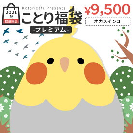 楽天市場 雑貨 福袋 レディースファッション の通販