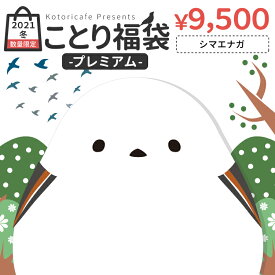 楽天市場 雑貨 福袋 レディースファッション の通販