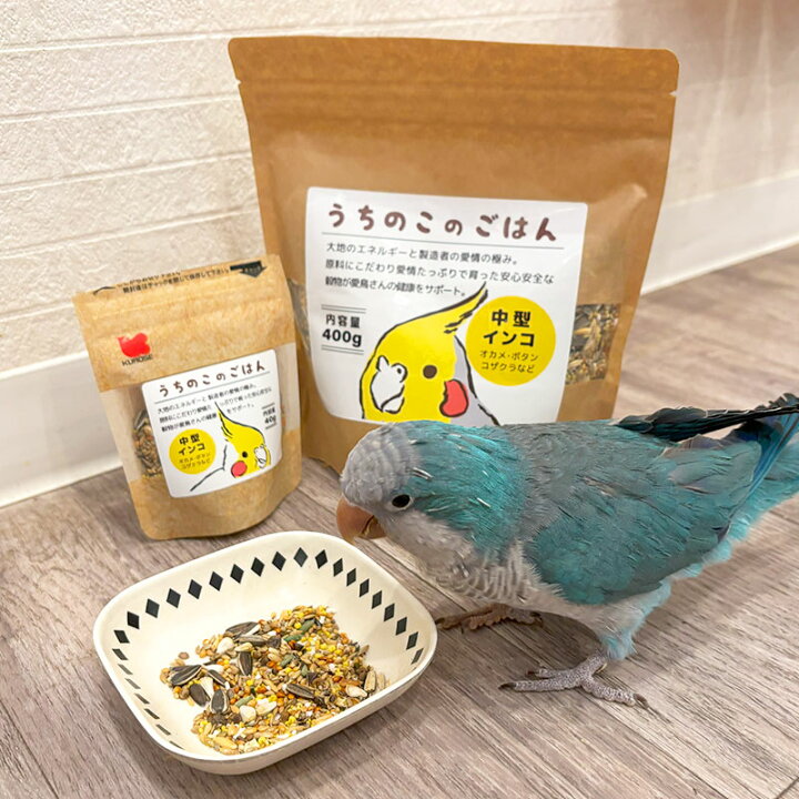 楽天市場】うちのこのごはん ☆中型インコ専用 《400g》《40g ...