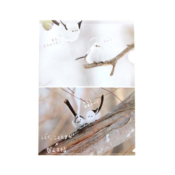 楽天市場 ぼく シマエナガ ぴよ手帖 クリアファイル クリックポスト対応 シマエナガ グッズ 小鳥 雑貨 ステーショナリー 文具 文房具 ファイル かわいい 癒しグッズ 北海道 雪の妖精 空飛ぶ豆大福 やなぎさわごう サイズ ことりカフェ Exceedjapan