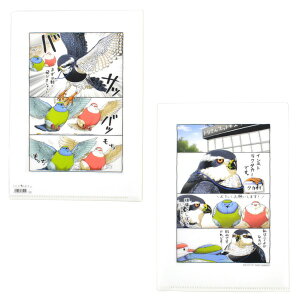 A5NAt@C CXgN^J[ 䂤pPbgΉ    Ƃ  G ObY A5TCY ^e CXg 4R} 킢 ~jt@C NAz_[ ޓ v