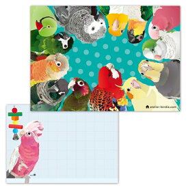 楽天市場 ワカケホンセイインコの通販