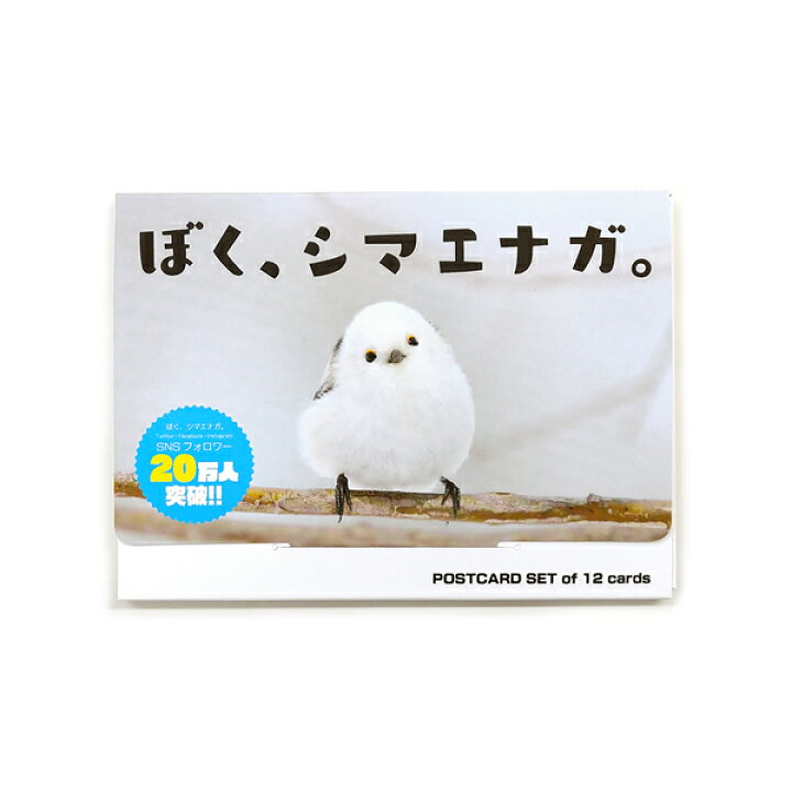 楽天市場 ぼく シマエナガ ポストカード12枚セット クリックポスト対応 ことり 小鳥 写真 写真集 ポストカードセット ネイチャー 自然 野鳥 ドキュメンタリー はがき 葉書 ハガキ シマエナガ 北海道 エナガ 雪の妖精 空飛ぶ豆大福 やなぎさわごう 柳沢豪