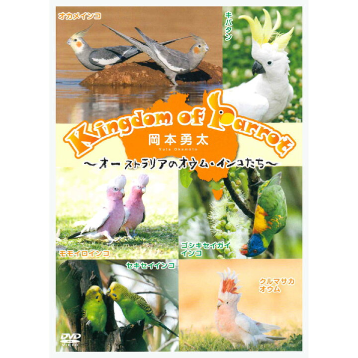 楽天市場 岡本勇太 Dvd 映像 Kingdom Of Parrot オーストラリアのオウム インコたち クリックポスト対応 小鳥グッズ 小鳥雑貨 Dvd ビデオ 動画 ネイチャー Exceedjapan