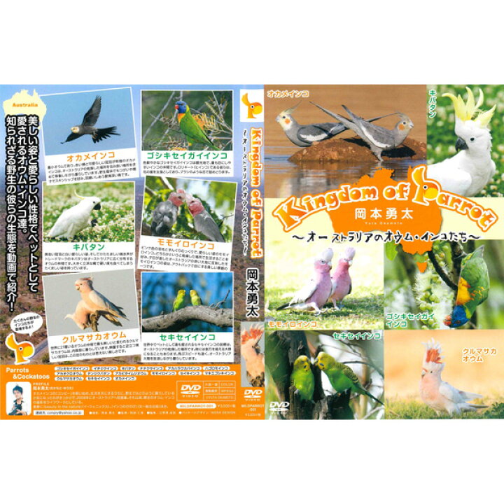楽天市場 岡本勇太 Dvd 映像 Kingdom Of Parrot オーストラリアのオウム インコたち クリックポスト対応 小鳥グッズ 小鳥雑貨 Dvd ビデオ 動画 ネイチャー Exceedjapan