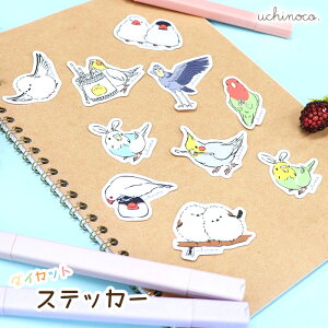 _CJbgXebJ[ 䂤pPbgΉ   XebJ[ V[ X}z IJ ZLZC RUN CR  V}GiK nVrRE 킢  [ fR[V g