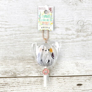 V}GiK L[z_[ LfB[RNVV}GiK@䂤pPbgΉ@G L[z_[@`[ ANZT[ LfB LfB[   A Xgbv 