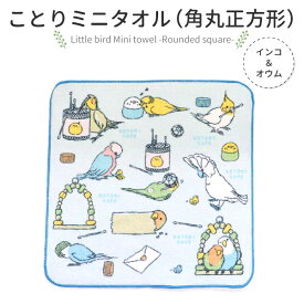 楽天市場 コザクラインコの通販