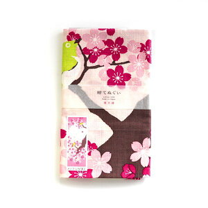 GĂʂ@Wƍւ@䂤pPbgΉ@Ƃ  G aG Ăʂ ʂ C~ ~z CeA a W ڔ  TN  sNy_lz