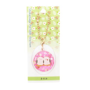 |[^uL[`F[@V}GiK@䂤pPbgΉ@Ƃ  G ObY `[ ANZT[ Xgbv L[`F[ 킢  yA FB ܂Ȃ 낢 