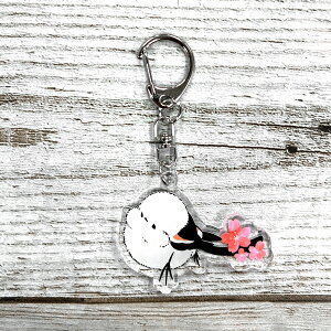 ANL[z_[@ۂɂ@䂤pPbgΉ V}GiKspring2021 Ƃ  G ObY _CJbg iXJ 킢  t ANL[ L[`F[ `[ ܂